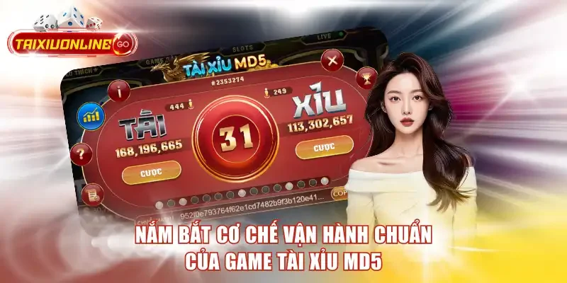 Nắm bắt cơ chế vận hành chuẩn của game tài xỉu MD5